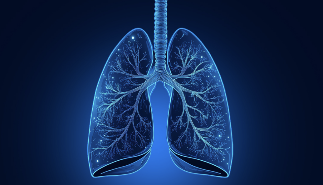 The President's Office